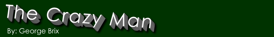 The Crazy Man by George Brix